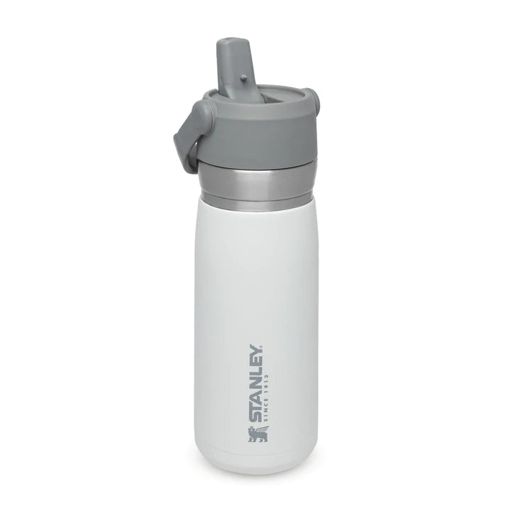 Stanley IceFlow Flip Straw Water Bottle  .65L / 22oz - Polar