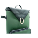 Bison Backpack Cooler 20L Green