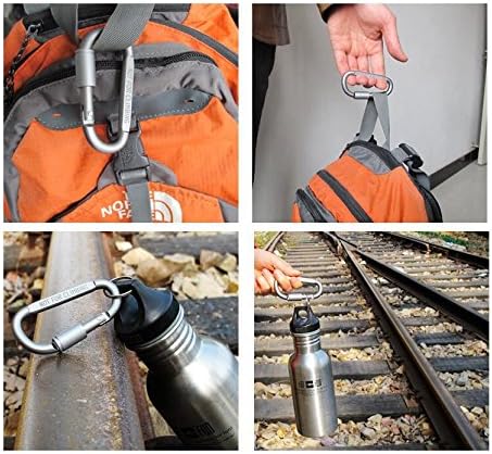 D-Ring Locking Carabiner