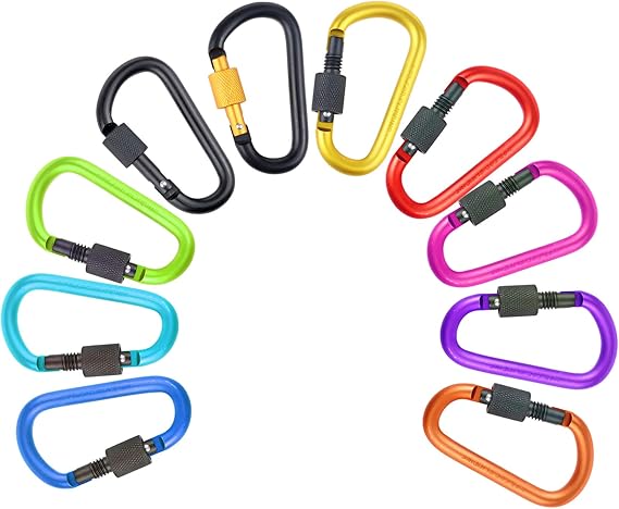 D-Ring Locking Carabiner