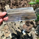 Outdoor Fresnel Magnifying Lens