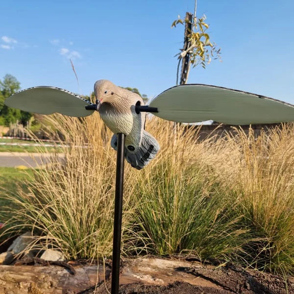 Voodoo Dove Decoy - Pigeon on Spike With Rotating Wings