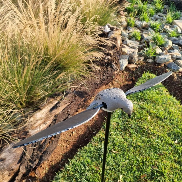 Voodoo Dove Decoy - Pigeon on Spike With Rotating Wings