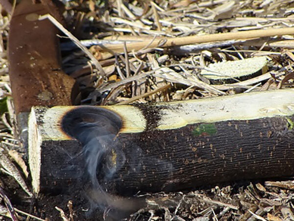 2-Day Basic Survival Course